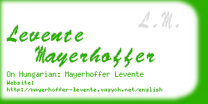 levente mayerhoffer business card